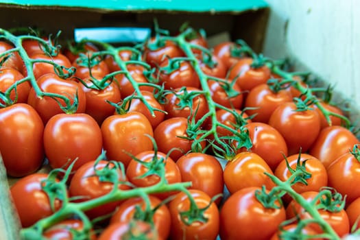 raw tomato produce vegetable vegetarian fresh juicy red organic nature agriculture food market