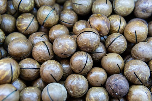 snack cooking food macadamia - freshness nutshell ingredient organic people seed no nut