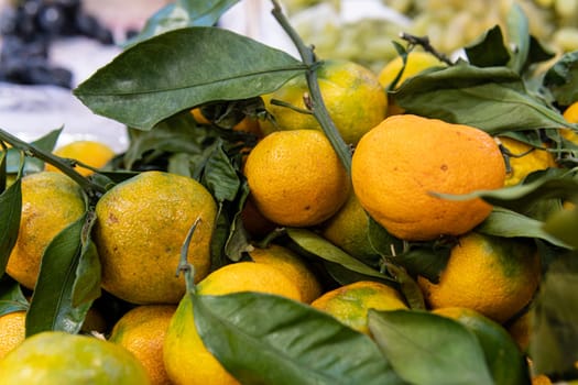 sweet citrus food vegetarian healthy background raw market fruit ripe organic fresh juicy