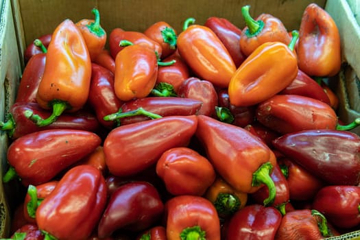 organic produce market grocery healthy pepper fruit fresh food nutrition natural ripe