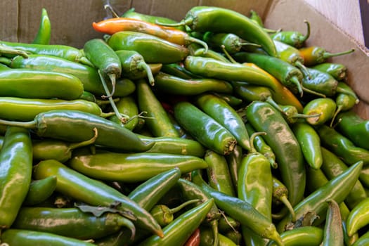 nature food plant vegetarian fresh pepper healthy organic vegetable green ripe natural ingredient