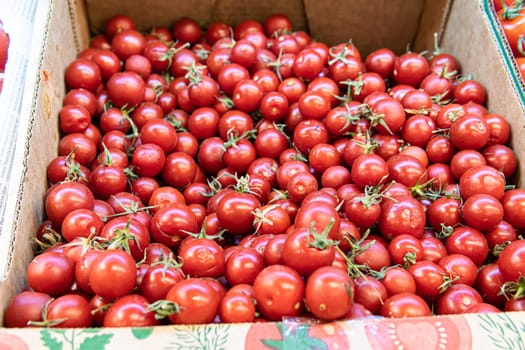 ingredient organic food agriculture freshness fresh juicy vegetable tomato red ripe closeup raw