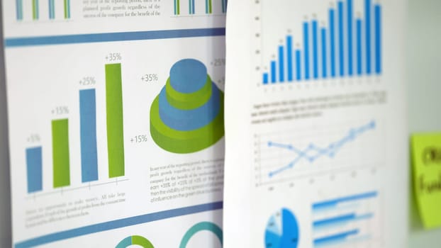 A diverse collection of graphs and charts that vividly illustrate important data trends and comparisons