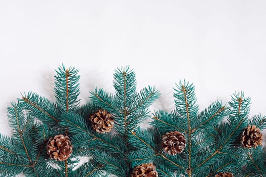 Green Christmas fir tree branches with cones isolated on white background. Top view. Copy space. Still life. Flat lay