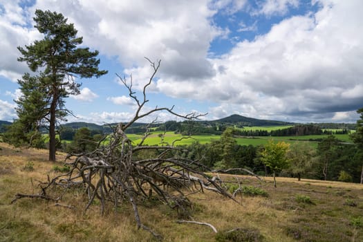 Panoramic image of landscape within the Vulkan Eifel, Rhineland-Palatinate, Germany