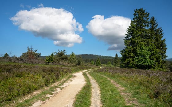 Panoramic landscape image, beautiful scenery of Rothaar Mountains close to Willingen, Sauerland, Germany 