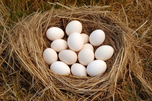 White chicken eggs arranged in a nest of straw grass.