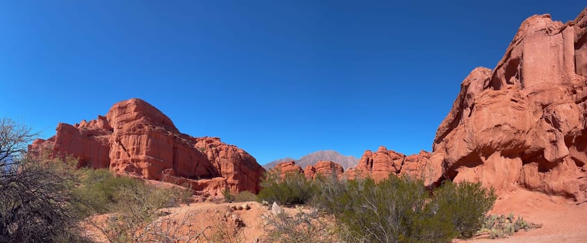 Natural wallpaper.Used for promotions and advertisements for travel and tourism agencies. Ecological tourism. Exotic landscapes of northern Argentina.