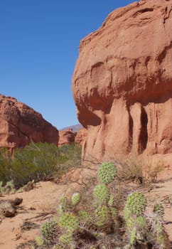Ecological tourism concept. Natural wallpaper.Used for promotions and advertisements for travel and tourism agencies. Exotic landscapes of northern Argentina.Copy space