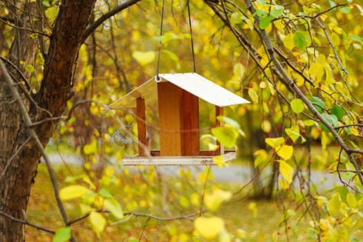 Nestled in the branches of a tree, a cozy wooden birdhouse attracts attention with its rustic charm, surrounded by stunning yellows and oranges of autumn leaves.