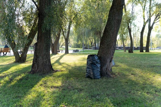 garbage environment rubbish nature pollution volunteer bag waste ecology plastic trash forest