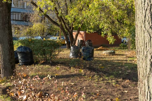 rubbish pollution forest environment plastic bag trash volunteer ecology nature waste garbage