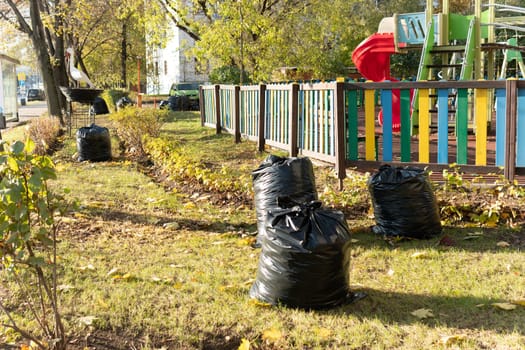 plastic nature pollution environment volunteer garbage waste rubbish bag forest ecology trash