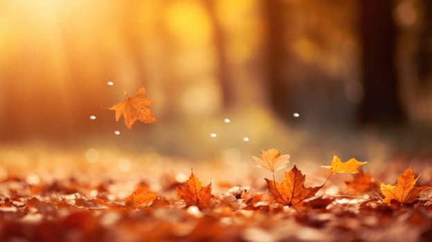 The image captures a close-up of vibrant autumn leaves falling in a park, featuring shades of yellow, orange, and red against a beautifully blurred background of brown branches.