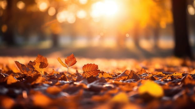 A close-up of fallen autumn leaves in warm sunlight. Leaves in shades of yellow, orange, and red scattered on the ground with a blurred park and trees in the background.