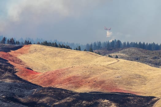 An aerial firefighting aircraft releases water over a smoky forest to control and extinguish the 2024 Valley Fire near Boise, Idaho