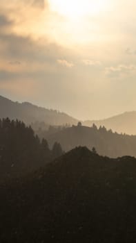 Serene view of rolling misty mountains at sunrise, with silhouetted trees against a soft gradient sky. Captures tranquility and natural beauty.