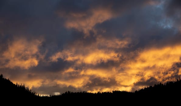 A breathtaking view of a dramatic sunset with vibrant orange clouds illuminating the sky. Silhouetted forest lines the horizon, creating a striking contrast against the evening light