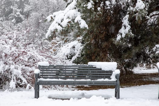 A serene park bench sits blanketed in fresh snow, surrounded by trees and branches in an enchanting winter scene, evoking a sense of tranquility and solitude at a park