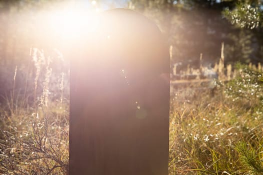 lens flare behind a old wooden grave