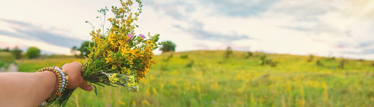 Woman in a meadow with medicinal herbs. Selective focus. Nature.