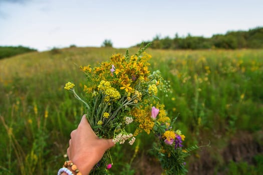 Woman in a meadow with medicinal herbs. Selective focus. Nature.