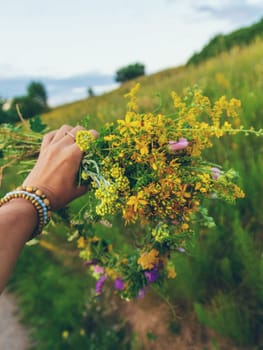 Woman in a meadow with medicinal herbs. Selective focus. Nature.