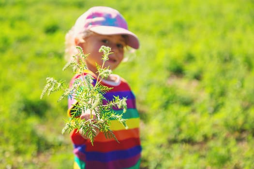 Child in ragweed flowers allergy. Selective focus. Kid.