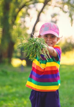 Child in ragweed flowers allergy. Selective focus. Kid.