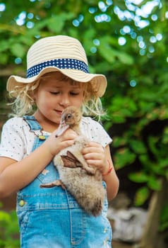 Child with ducklings on a farm. Selective focus. Kid.