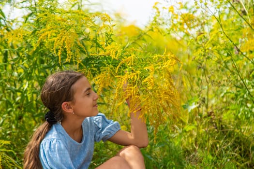 Child in ragweed flowers allergy. Selective focus. Kid.