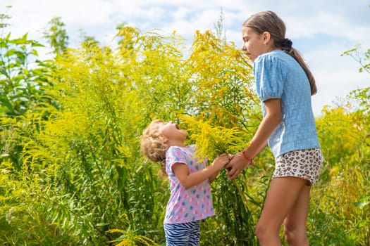 Child in ragweed flowers allergy. Selective focus. Kid.