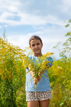 Child in ragweed flowers allergy. Selective focus. Kid.