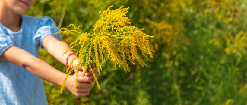 Child in ragweed flowers allergy. Selective focus. Kid.