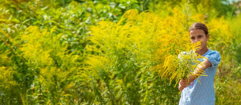 Child in ragweed flowers allergy. Selective focus. Kid.