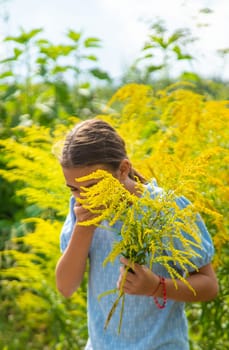 Child in ragweed flowers allergy. Selective focus. Kid.