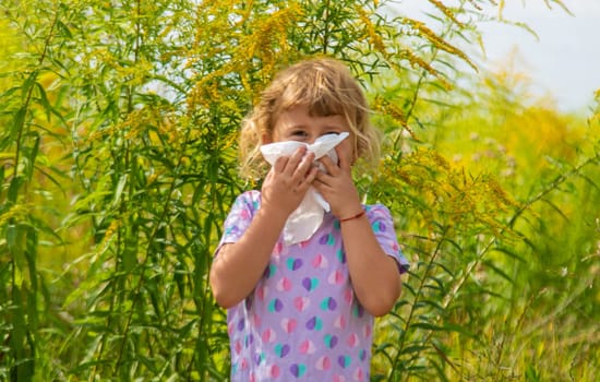 Child in ragweed flowers allergy. Selective focus. Kid.