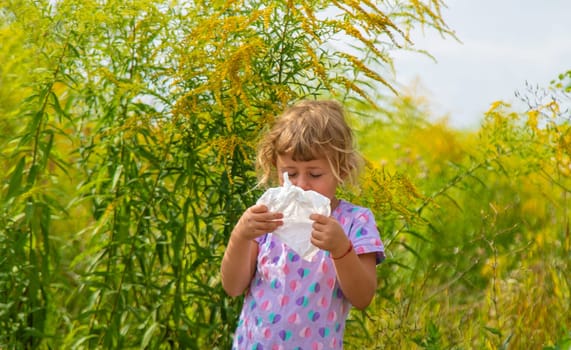Child in ragweed flowers allergy. Selective focus. Kid.
