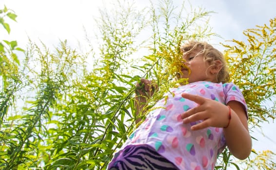 Child in ragweed flowers allergy. Selective focus. Kid.