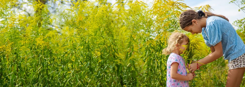 Child in ragweed flowers allergy. Selective focus. Kid.