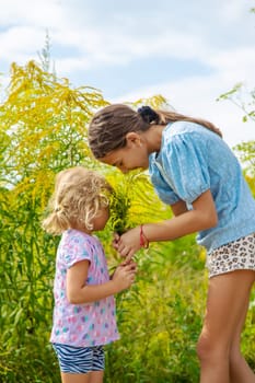 Child in ragweed flowers allergy. Selective focus. Kid.