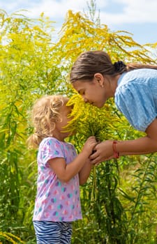 Child in ragweed flowers allergy. Selective focus. Kid.