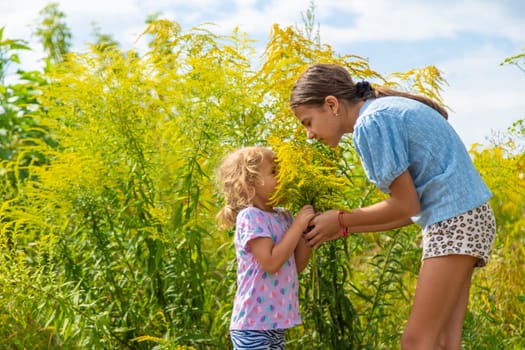 Child in ragweed flowers allergy. Selective focus. Kid.