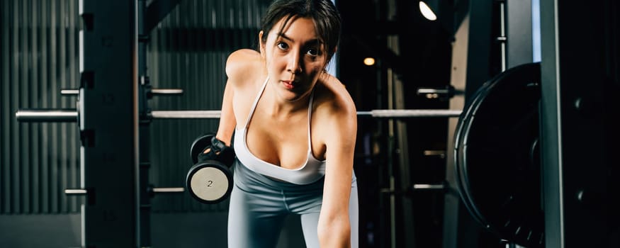 Asian woman lifting dumbbell on bench in fitness gym, Happy young female doing strength training exercise with dumbbells in a gym, Weight training healthy lifestyle concept