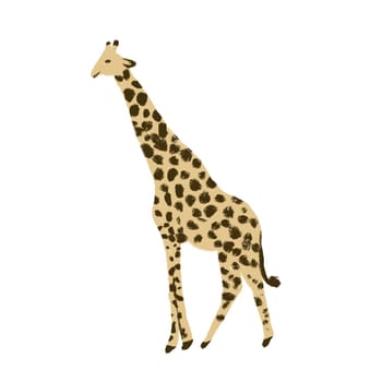 Hand drawn illustration of wild african giraffe. Zoo animal with long neck in artistic modern style, wildlife safari print, isolated on white background. Cute animal standing portrait high character