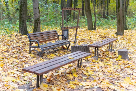 forest park wooden landscape surface white bench tree green nature wood background tennis outdoor