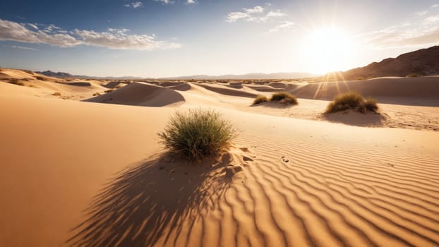 The tranquil desert is alive as golden dunes shimmer under the fading sunlight. Grasses sway gently in the warm breeze, creating a peaceful atmosphere at dusk.