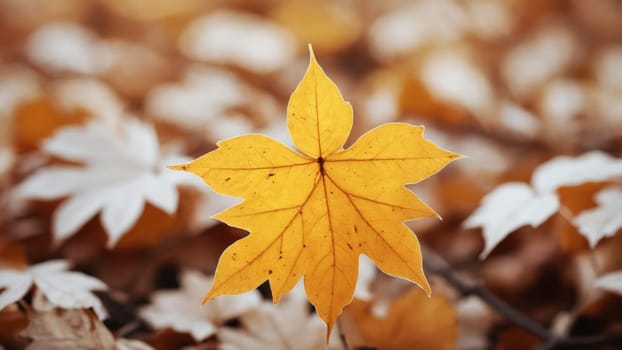 A tapestry of autumn leaves unfolds on the forest floor, showcasing brilliant shades of yellow, white, and brown. Each leaf tells the story of seasonal change in a tranquil woodland setting.