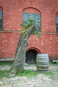 A charming outdoor scene with a weathered tree, a wooden barrel, and a rustic brick wall. The setting captures a quaint, serene atmosphere that's perfect for vintage outdoor themes