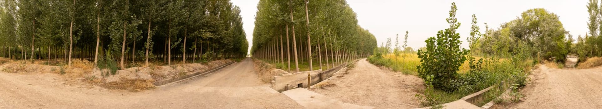 Take the time to explore the tranquil pathways that are beautifully flanked by tall, majestic trees, providing a wonderful peaceful nature retreat along with picturesque scenery all around